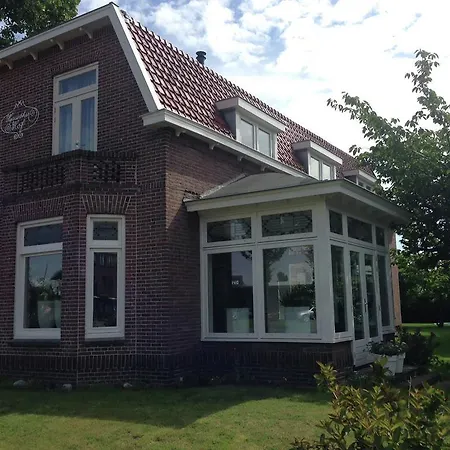 Zonnig Hyacintenhof